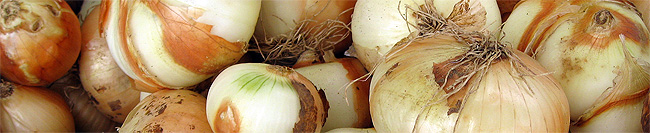 onion header