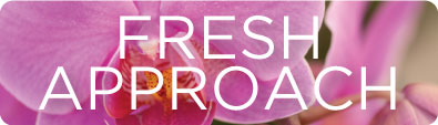 FreshApproach2